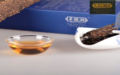 buy dark tea