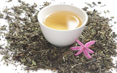 green tea vs white tea