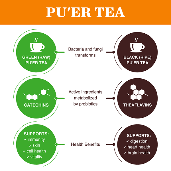Pu Erh Tea and Black Tea: Unique Characteristics and Health Benefits