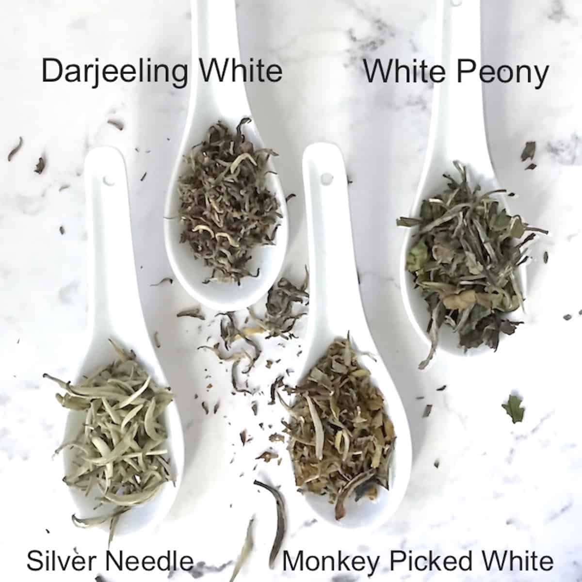 kinds of white tea