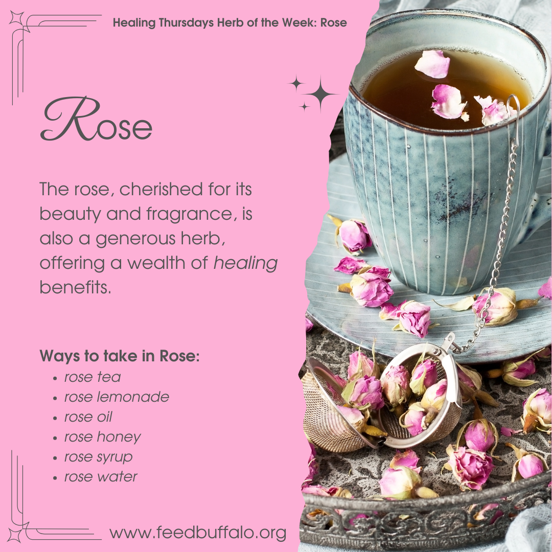 rose tea benefits