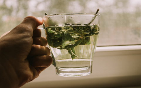 teas that give you energy