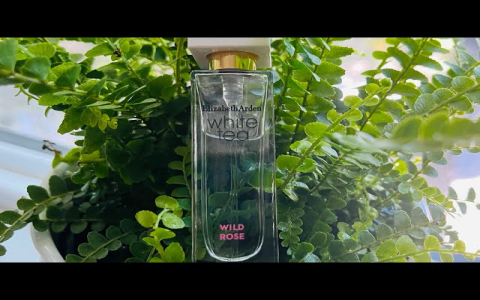 elizabeth arden white tea frangence collection parfumes 3