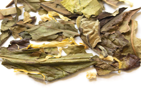 chinese white tea