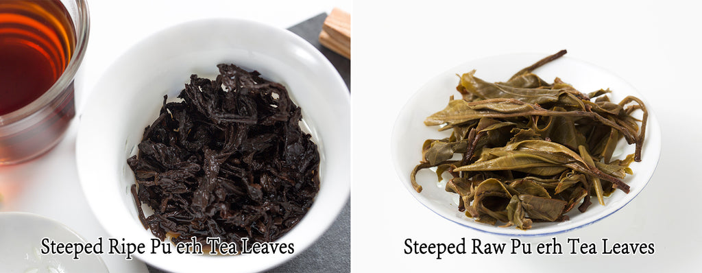 ripe vs raw pu erh tea