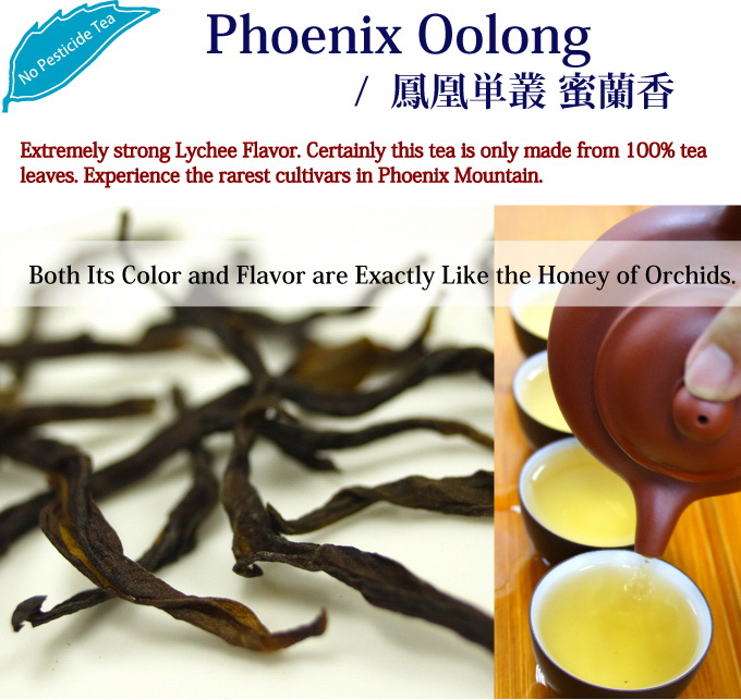 phoenix oolong tea