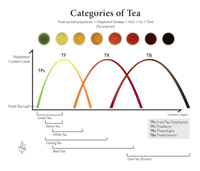 what is considered dark tea