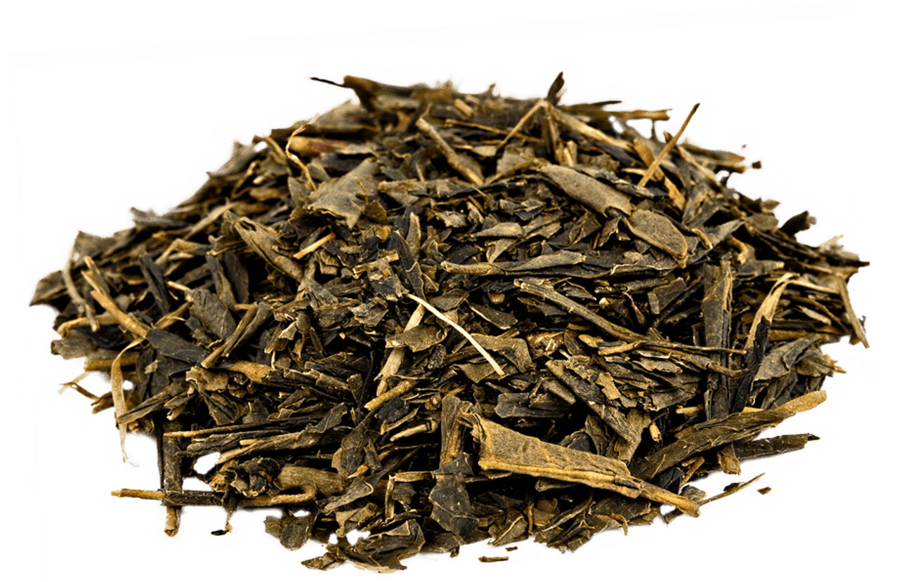 bancha green tea
