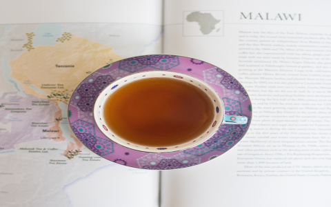 Exploring the Different Types of Black Tea and Their Unique Flavors