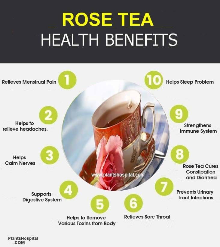 rose tea benefits