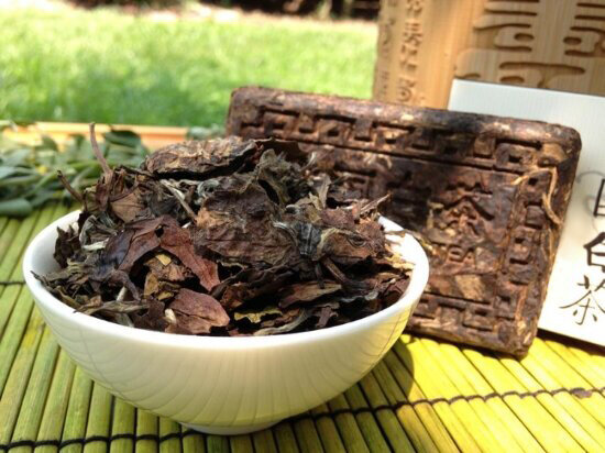 aged white tea