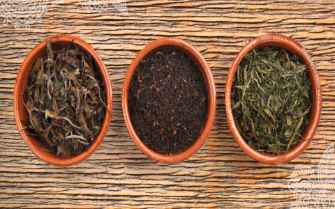 difference in green tea and black tea