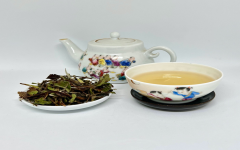 organic white tea