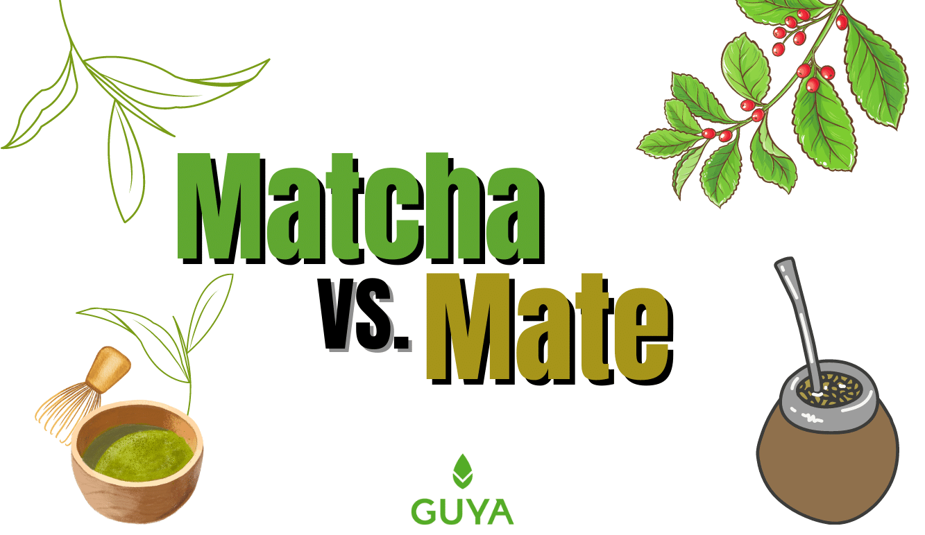 mate matcha tea