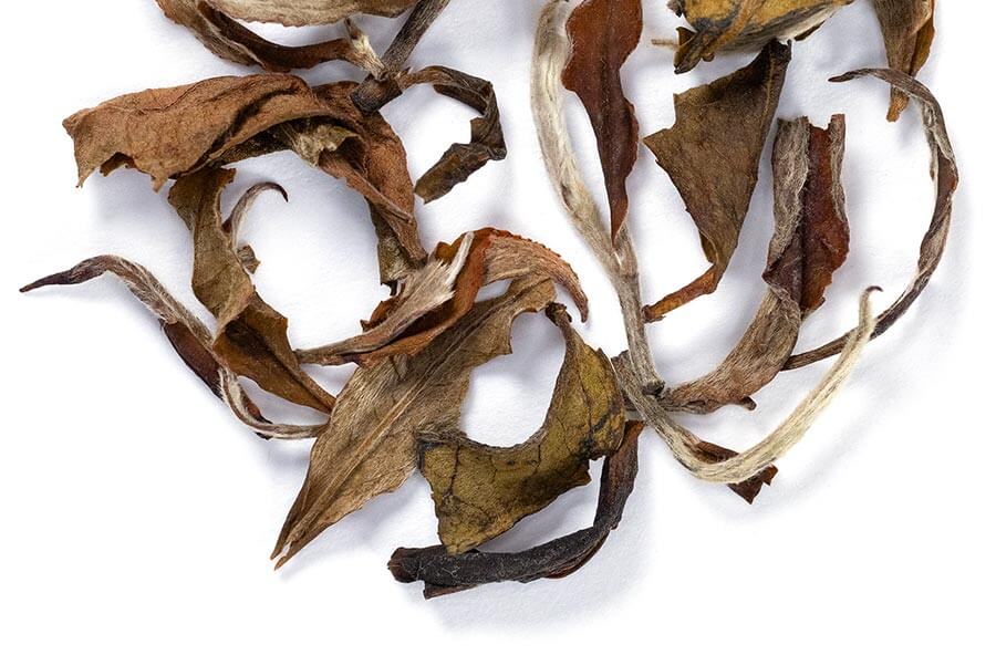 darjeeling white tea