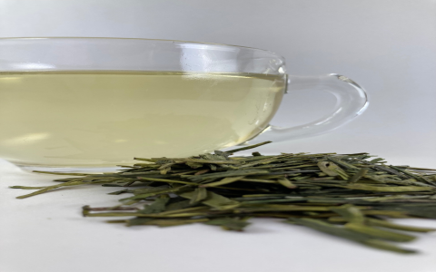 green tea bitter