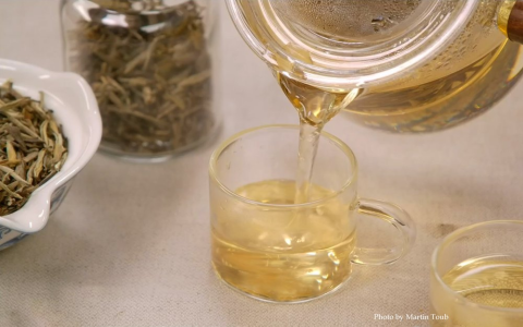 jasmine white tea