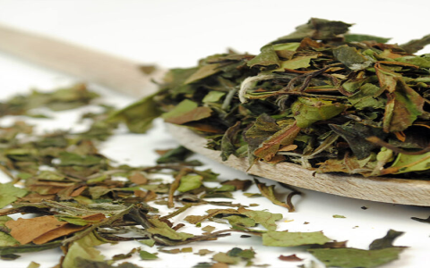 white tea uk