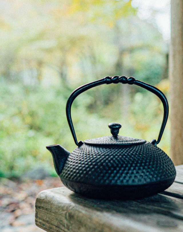 cast iron teapot