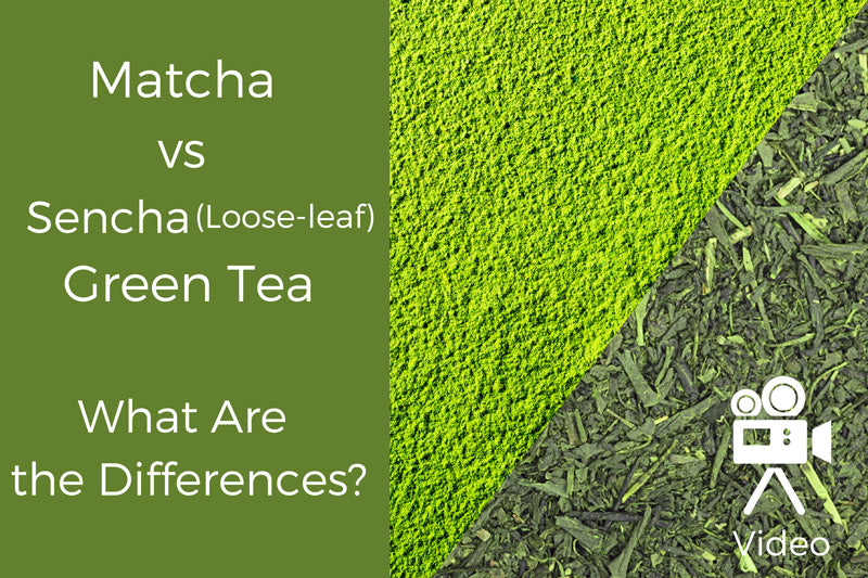 sencha tea vs matcha