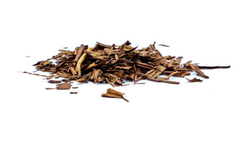 hojicha green tea