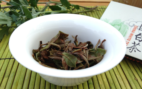aged white tea