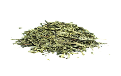 organic sencha green tea
