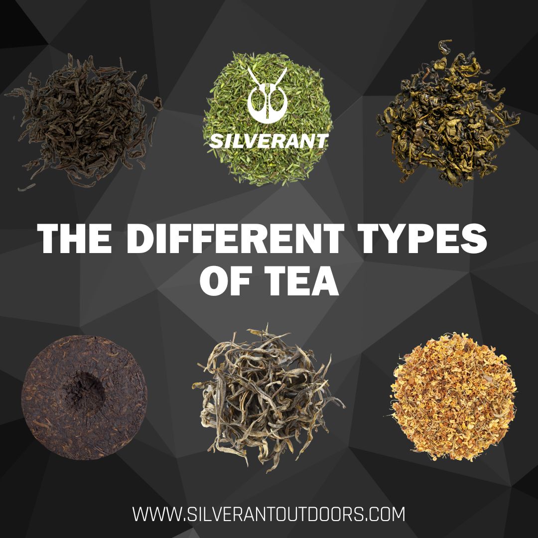 Types of Black Tea: Discover the Best Varieties and Their Unique Flavors