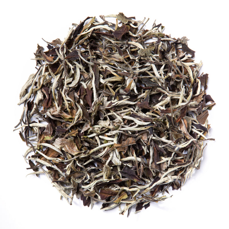 moonlight white tea