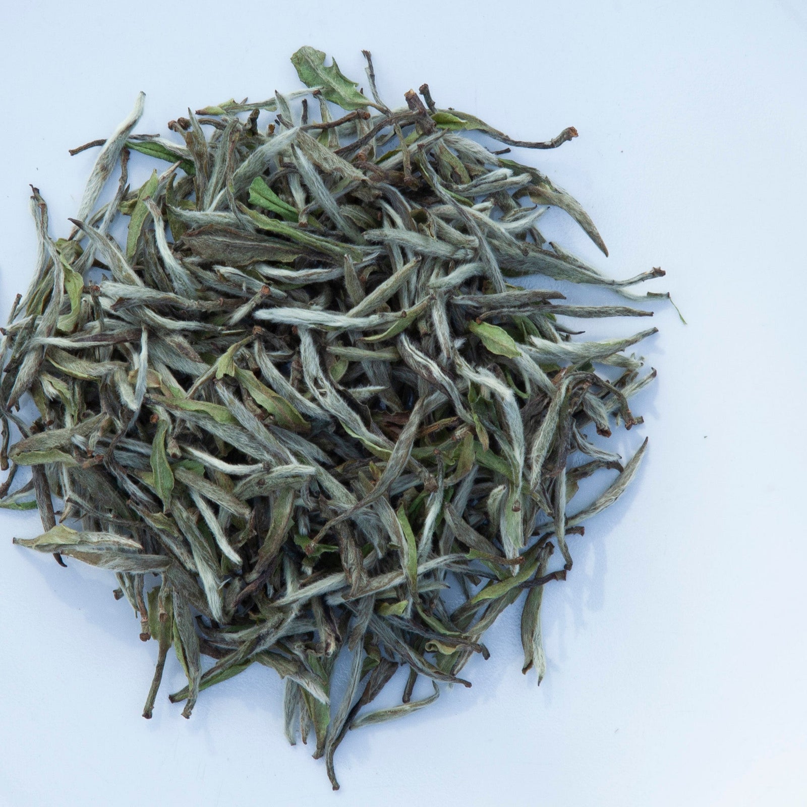 chinese white tea