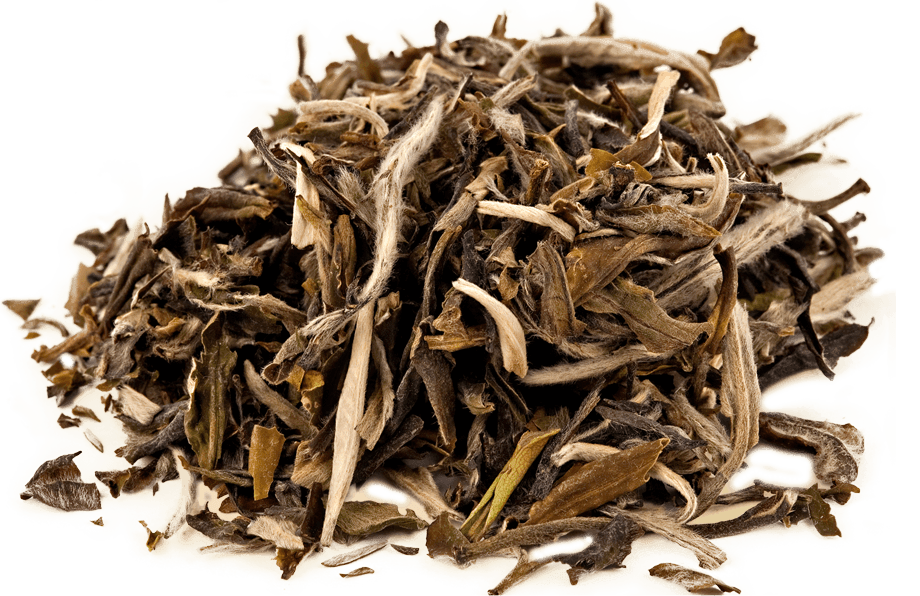white tea bai mu dan
