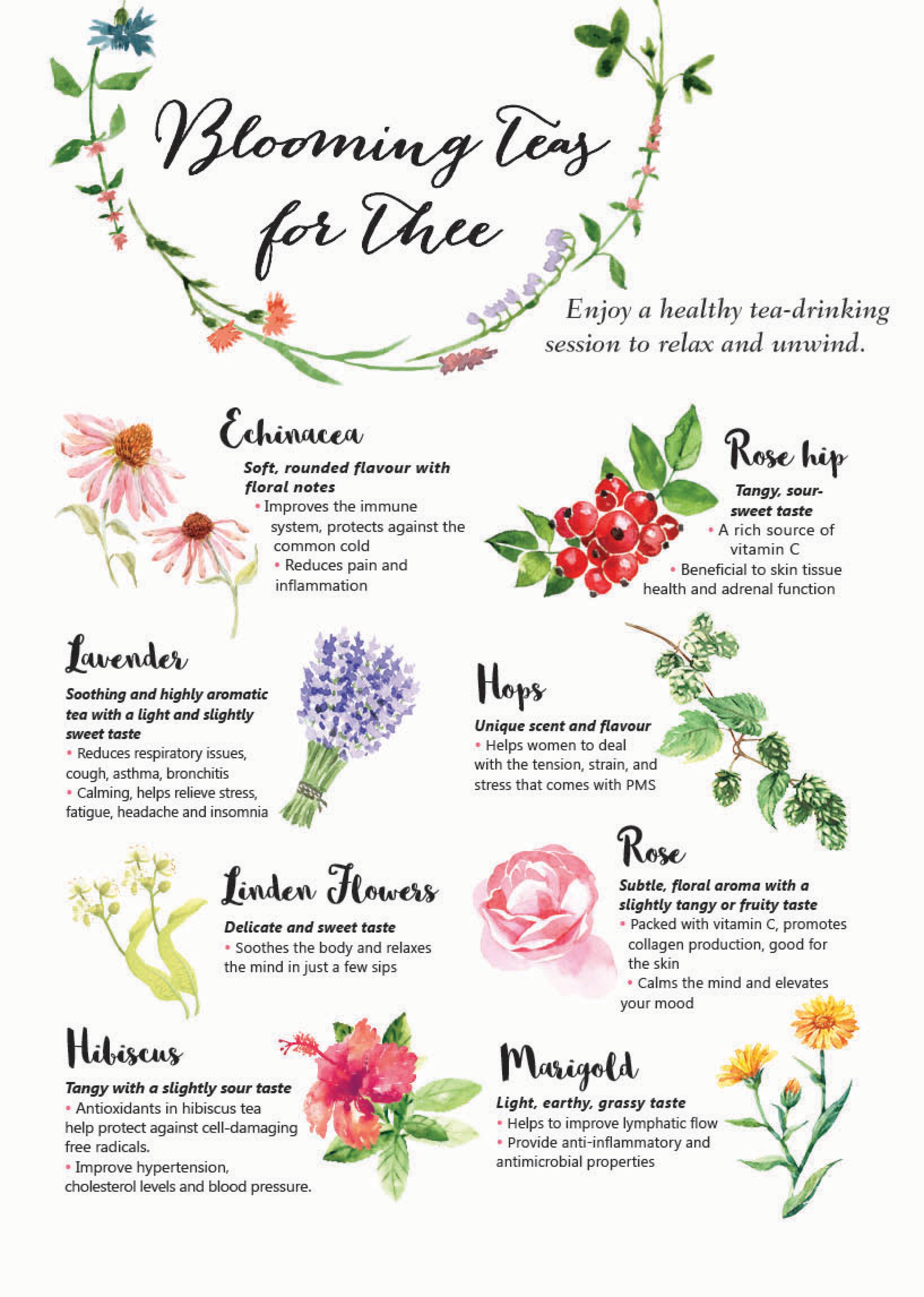 flowers used in tea