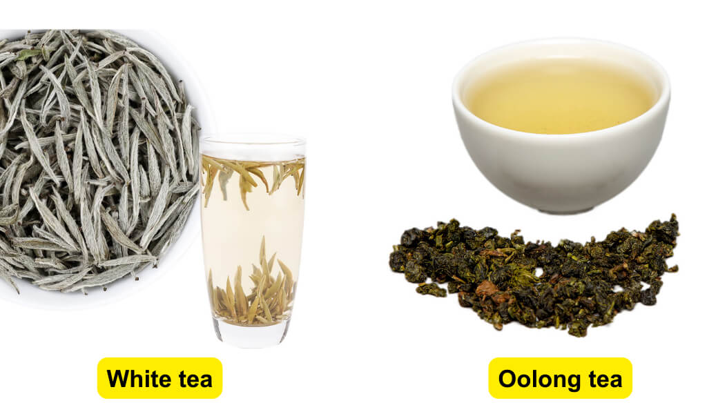 white tea vs oolong
