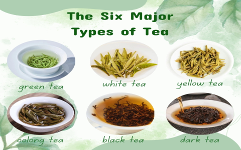 Exploring the Different Types of Black Tea: A Comprehensive Guide