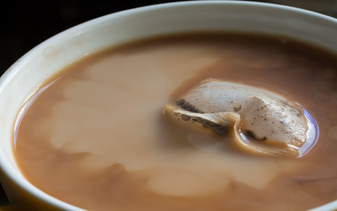 What Makes PG Tips Black Tea So Popular in the UK?