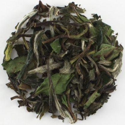 white tea bai mu dan