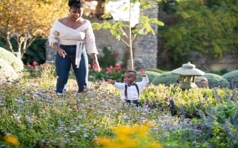 Join the Denver Botanic Gardens Japanese Tea Ceremony for a Unique Cultural Experience