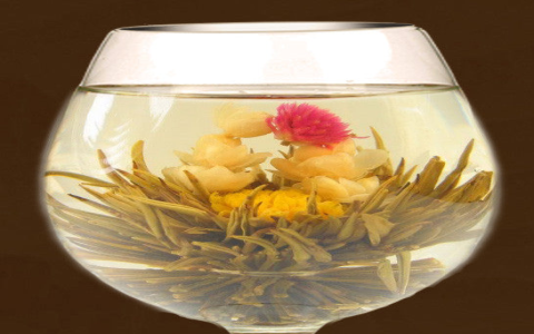 green tea jasmine tea