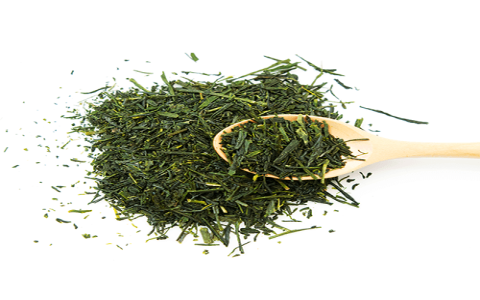 sencha vs matcha green tea