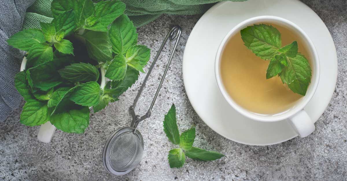 green tea with peppermint benefits