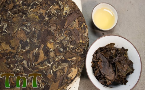 shou mei white tea