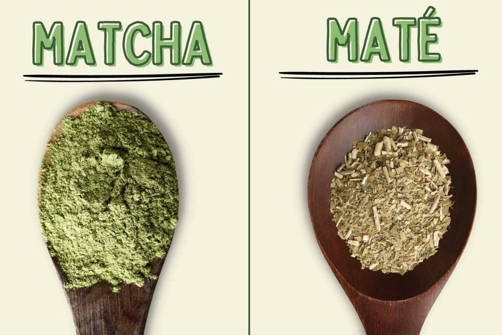 mate matcha tea