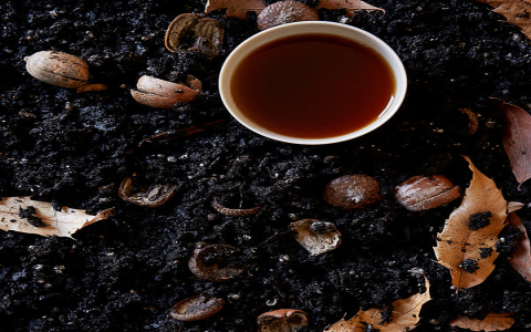 oolong vs pu erh tea