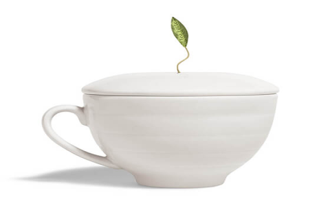 Elegant Tea Set Present: Elevate Gifting with Style and Tradition