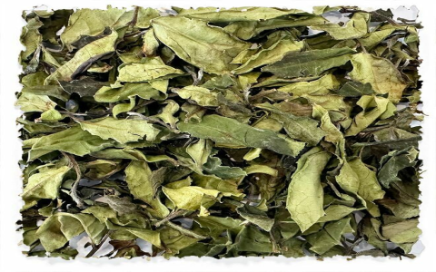 white tea flavors