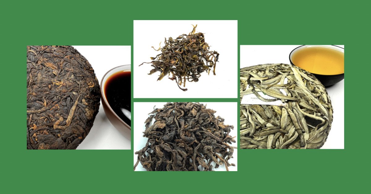 ripe vs raw pu erh tea