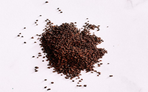 black tea of india