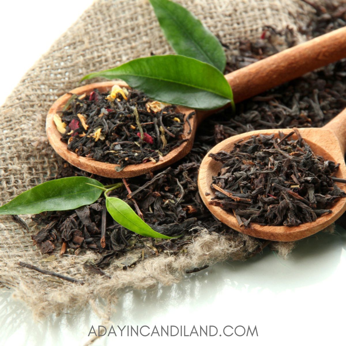 Loose Black Tea: A Simple Guide for Beginners to Explore!