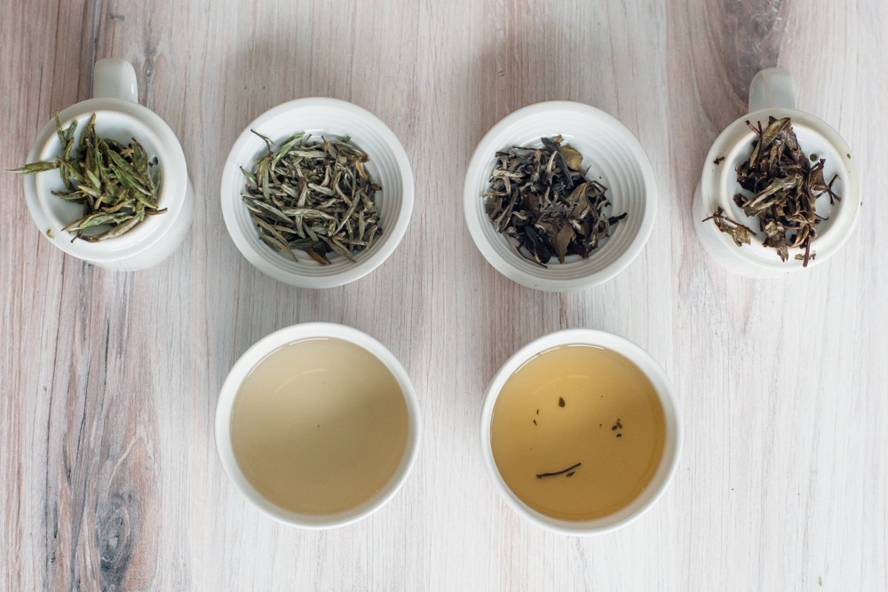 white tea caffeine free