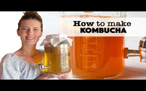 Black Tea Kombucha: What Is It and How Is It Made?